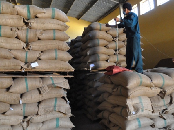 xuất khẩu cà phê trong tháng đạt 156.258 tấn (tương đương 2.604.300 bao, bao 60kg)