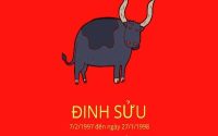 tuoi-dinh-suu-mua-xe-ngay-nao-tot-2