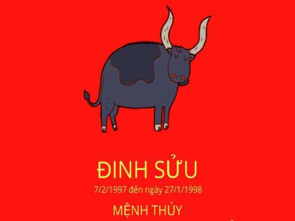 tuoi-dinh-suu-mua-xe-ngay-nao-tot-2