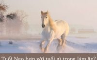 Tuổi ngọ hợp với tuổi gì trong làm ăn để gặt hái nhiều thành công?