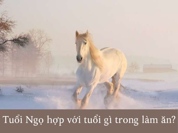 Tuổi ngọ hợp với tuổi gì trong làm ăn để gặt hái nhiều thành công?