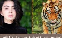 Tuổi dần hợp với tuổi nào trong làm ăn để thành công?