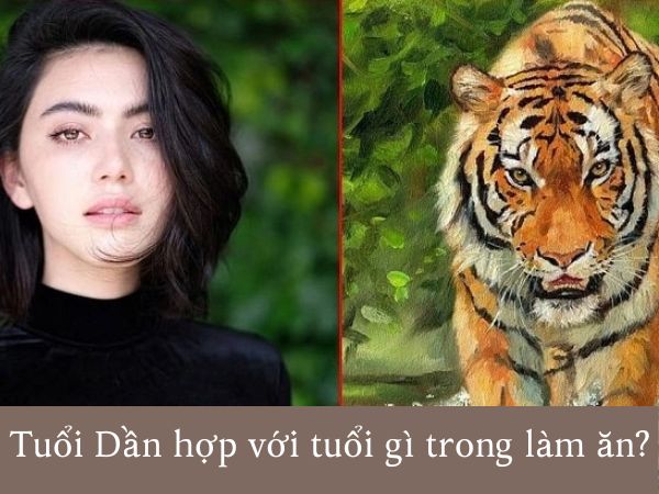 Tuổi dần hợp với tuổi nào trong làm ăn để thành công?