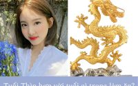 Tìm hiểu tuổi Thìn hợp với tuổi nào cho làm ăn phát đạt?