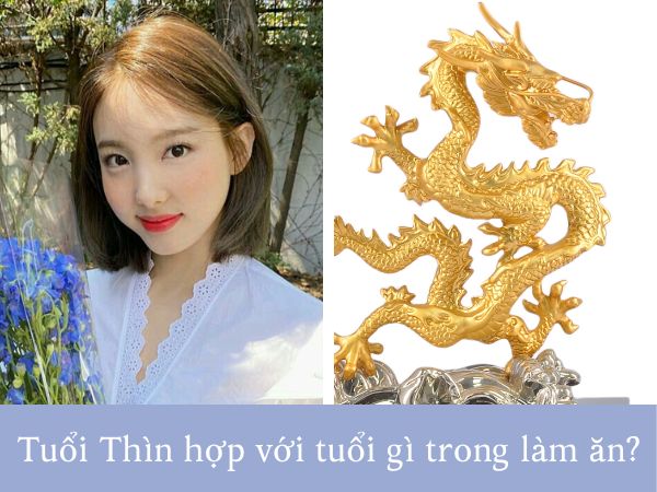 Tìm hiểu tuổi Thìn hợp với tuổi nào cho làm ăn phát đạt?