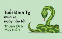 Tuổi Đinh Tỵ mua xe ngày nào tốt mang đến may mắn thuận lợi?