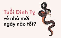 Tuổi đinh tỵ về nhà mới ngày nào tốt cho gia đình hạnh phúc?