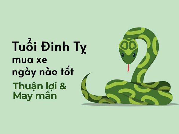 Tuổi Đinh Tỵ mua xe ngày nào tốt mang đến may mắn thuận lợi?