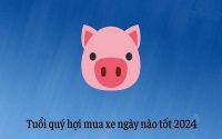 Tuổi Quý Hợi mua xe ngày nào tốt – Xem ngày tốt mua xe cho tuổi 1983