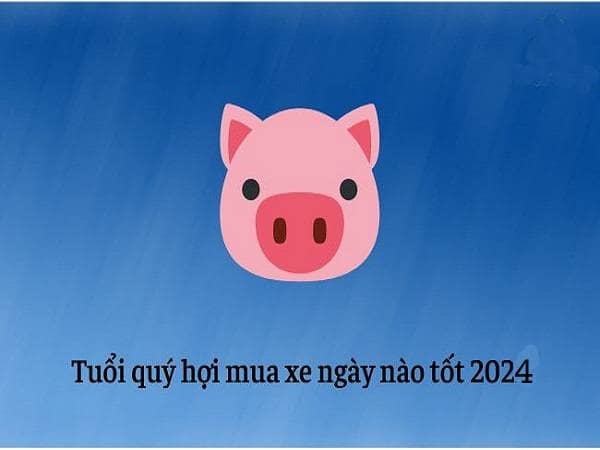 Lý do cần phải chọn ngày đẹp mua xe cho mệnh chủ Quý Hợi Tuổi Quý Hợi mua xe ngày nào tốt – Xem ngày tốt mua xe cho tuổi 1983