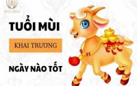 Tuổi Ất Mùi khai trương ngày nào tốt?