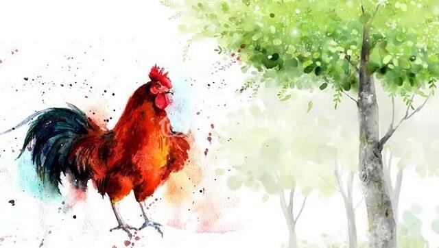 Ngày tốt chuyển nhà tuổi Đinh Dậu Ngày tốt chuyển nhà tuổi Đinh Dậu