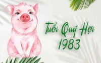 Ngày tốt chuyển nhà cho tuổi Quý Hợi