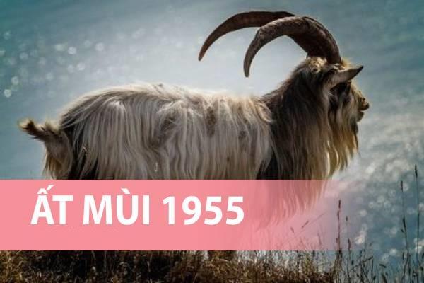 Tuổi Ất Mùi khai trương ngày nào tốt? Tuổi Ất Mùi khai trương ngày nào tốt?