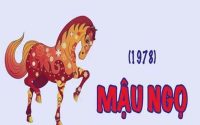 Tuổi Mậu Ngọ 1978 chuyển nhà ngày nào tốt trong năm 2024?