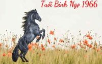 Tuổi Bính Ngọ chuyển nhà ngày nào tốt ?