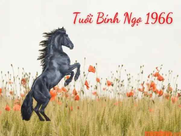 Tại sao cần xem ngày tốt nhập trạch tuổi Bính Ngọ