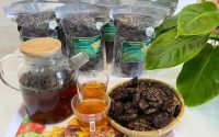 Quả nhàu khô đun nước uống bí quyết từ thiên nhiên