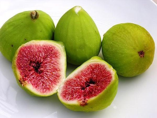 Tác dụng của quả sung chữa sỏi thận bí quyết tự nhiên