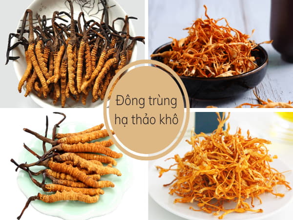 Tìm hiểu đông trùng hạ thảo khô