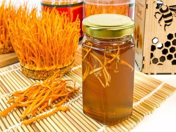 Đông trùng hạ thảo ngâm mật ong là gì