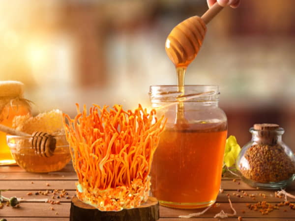 Ai nên sử dụng đông trùng hạ thảo ngâm mật ong