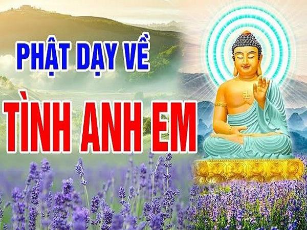 Thực hành lời Phật dạy về tình anh em trong cuộc sống hằng ngày