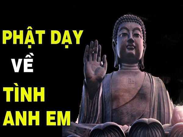 Tình anh em không chỉ là máu mủ, ruột rà
