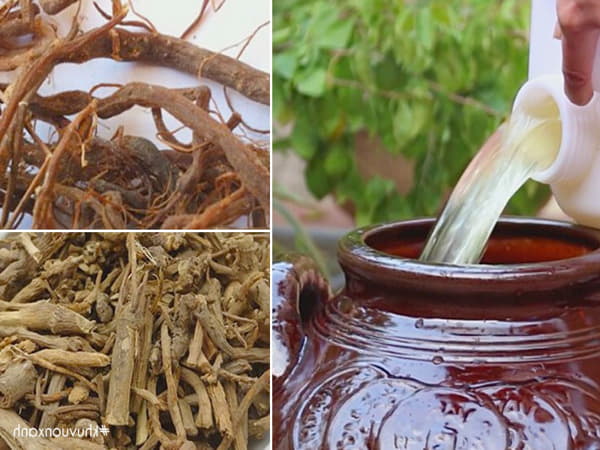 Cách Ngâm Rượu Cây Cỏ Xước Chuẩn