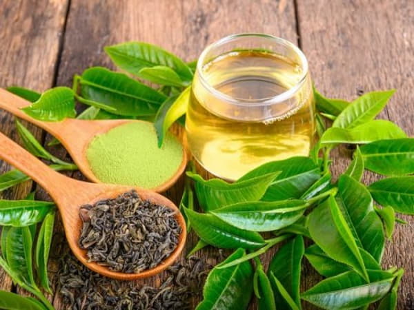 Trà xanh – chất chống oxy hóa mạnh mẽ