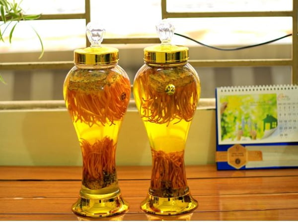 Cách ngâm rượu đông trùng hạ thảo tươi đúng chuẩn