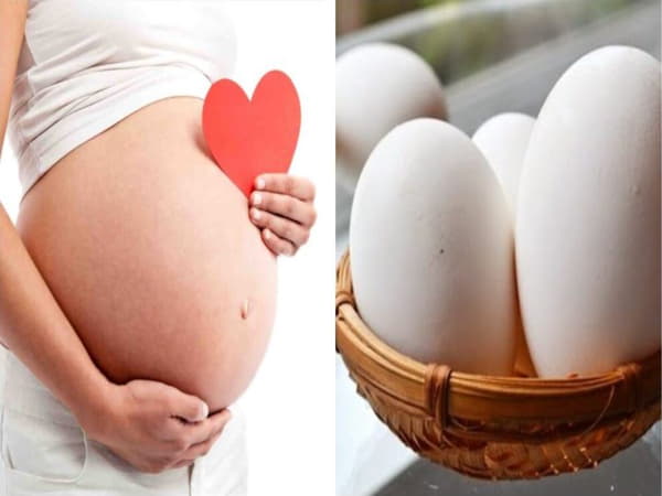 Mẹ bầu nên ăn trứng ngỗng như thế nào là đúng