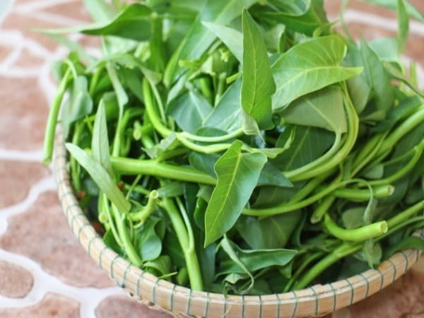Thành phần dinh dưỡng Rau Muống có gì đặc biệt