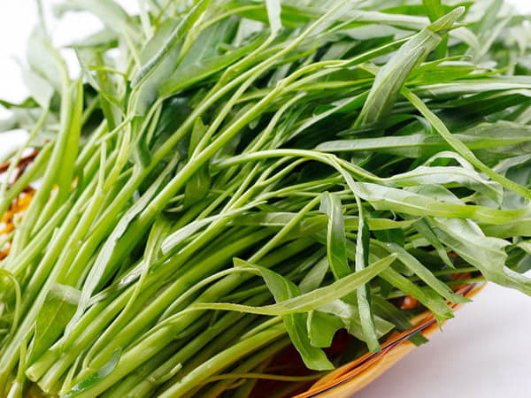 Rau muống có giúp phòng ngừa bệnh tật