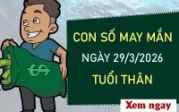 Con số may mắn hôm nay 29/3/2026 chủ nhật tuổi Thân