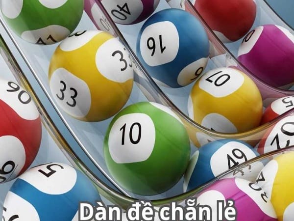 Cách nuôi dàn đề chẵn lẻ chuẩn hiệu quả