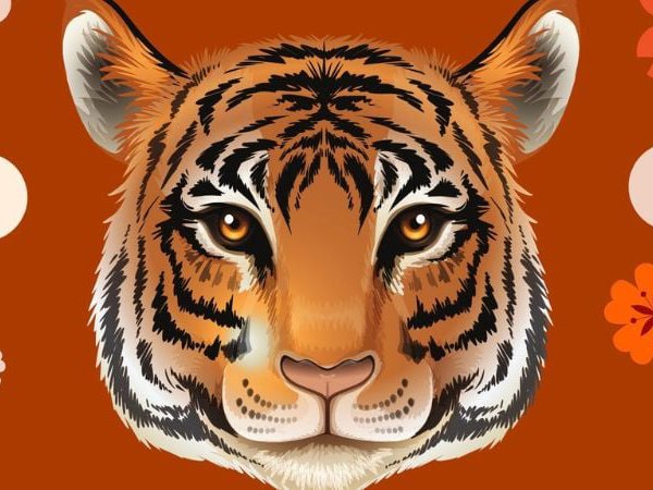 Con số may mắn hôm nay 10/4/2026 thứ 6 tuổi Dần