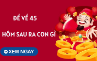 Thống kê đề về 45 hôm sau về con gì theo lô kép