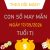 Con số may mắn hôm nay 17/5/2026 chủ nhật tuổi Tị