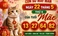 Con số may mắn ngày 22 tháng 5 thứ 6 của tuổi Mão