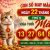 Con số may mắn ngày 22 tháng 5 thứ 6 của tuổi Mão