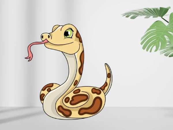 Con số may mắn tuổi Tỵ theo từng năm sinh
